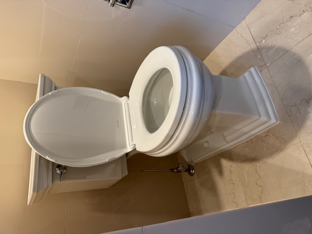 Expert Toilet Installation in LaGrange, IL